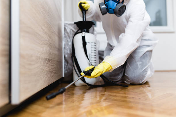 Professional Pest Control in Columbiana, AL