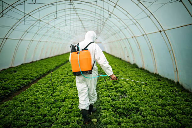 Best Mosquito Control Services  in Columbiana, AL