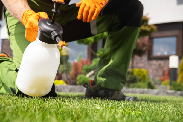 Best Bed Bug Extermination  in Columbiana, AL