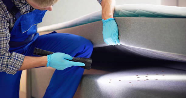 Best Ant Control Services  in Columbiana, AL
