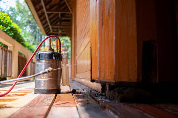 Best Emergency Pest Control  in Columbiana, AL