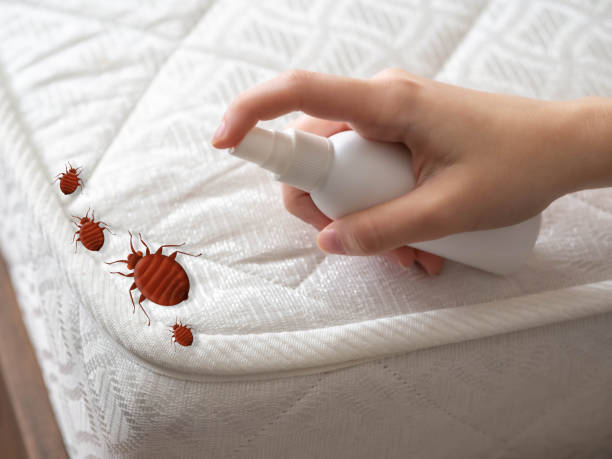 Best Pest Inspection Near Me  in Columbiana, AL