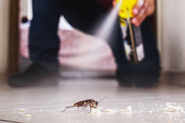 Best Residential Pest Control  in Columbiana, AL